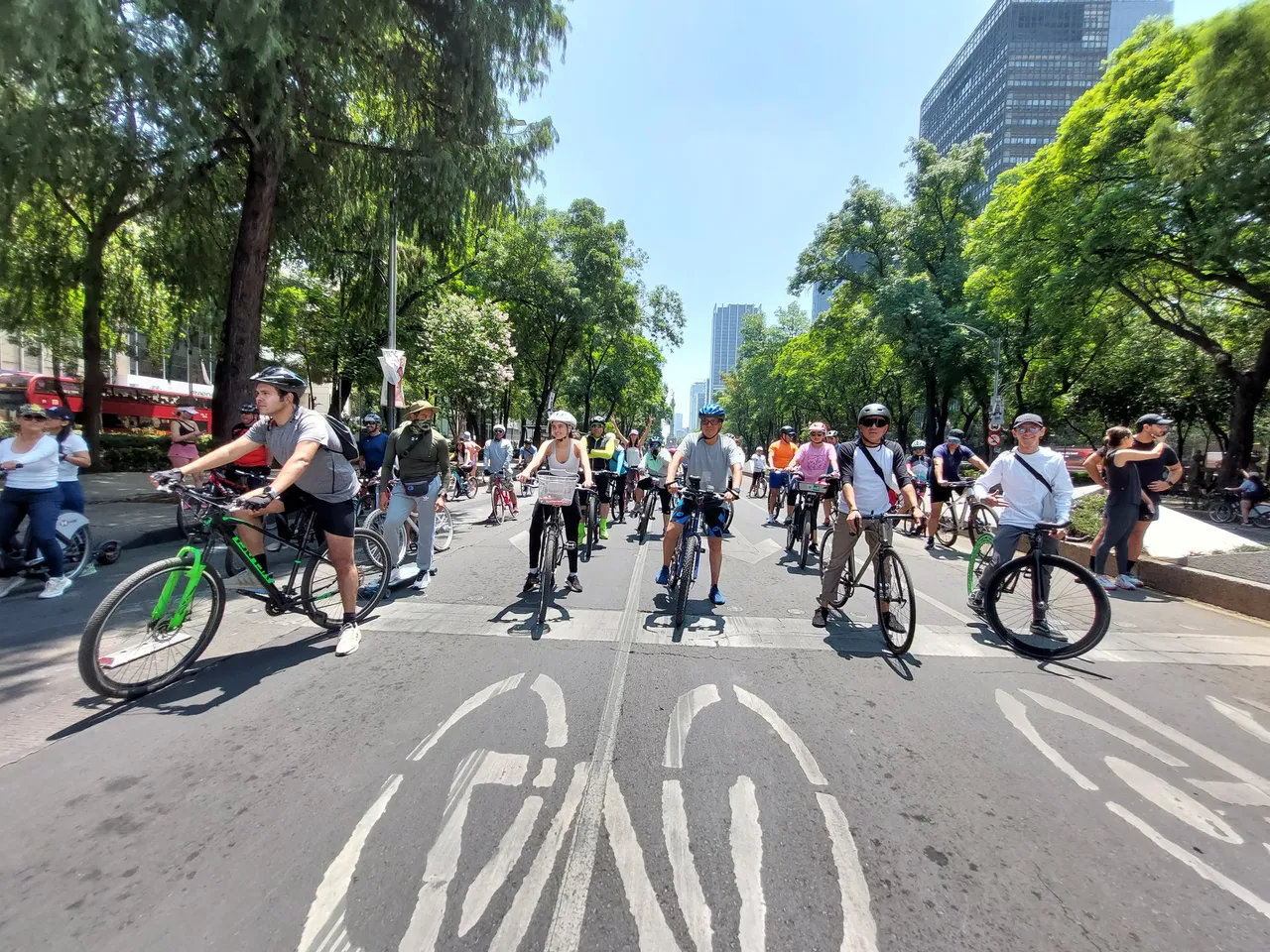 bicicleta cdmx wd