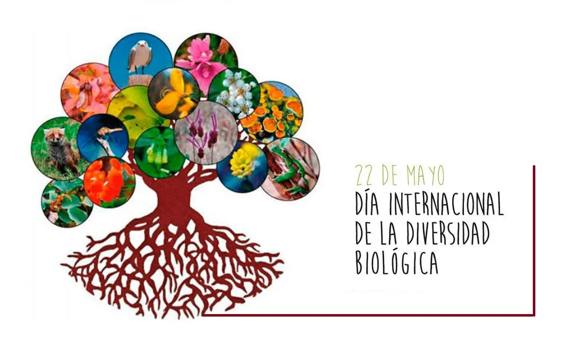 Día Internacional de la Diversidad Biológica