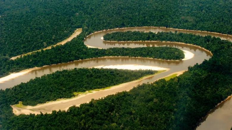 biodiversidad