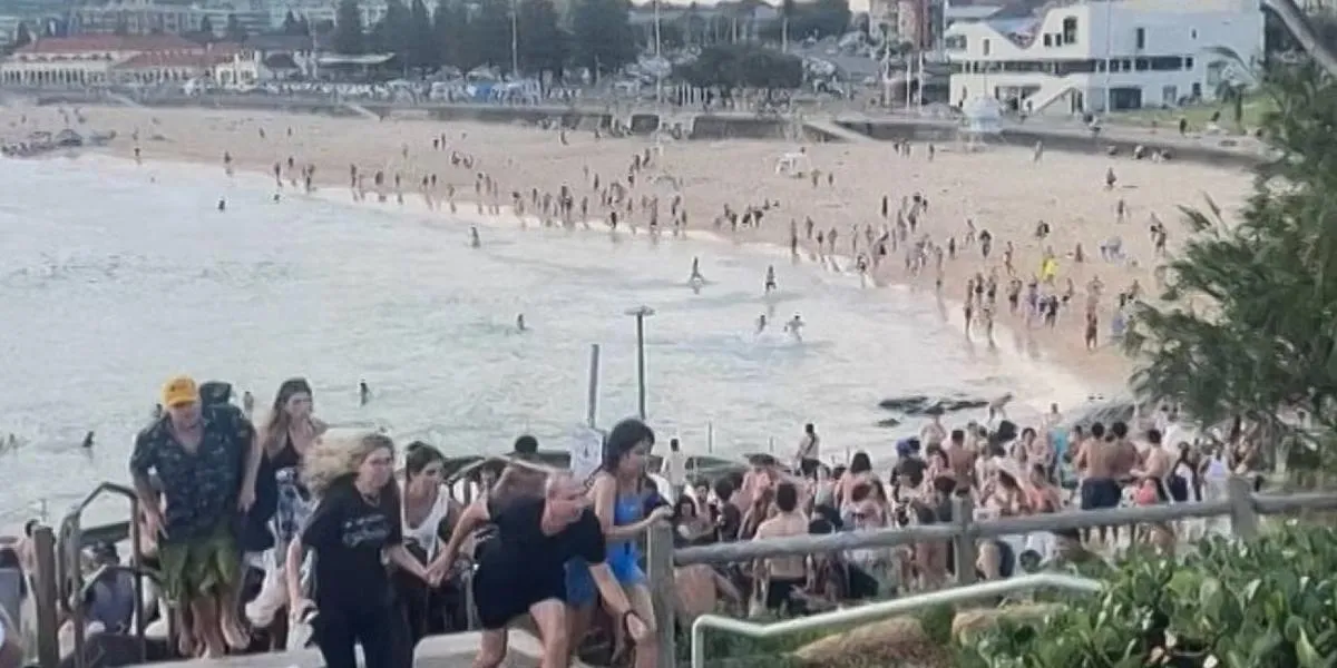 bondi