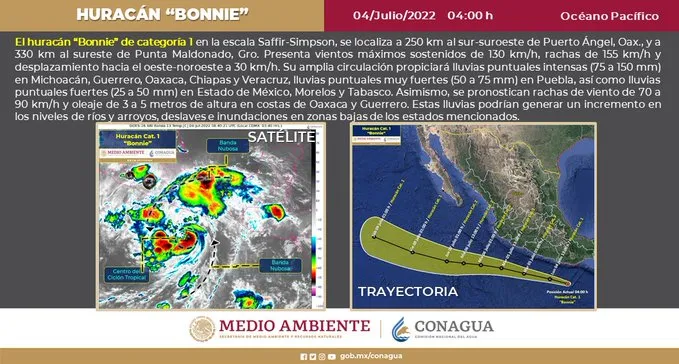 bonnie