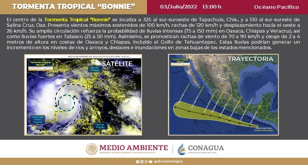 bonnie