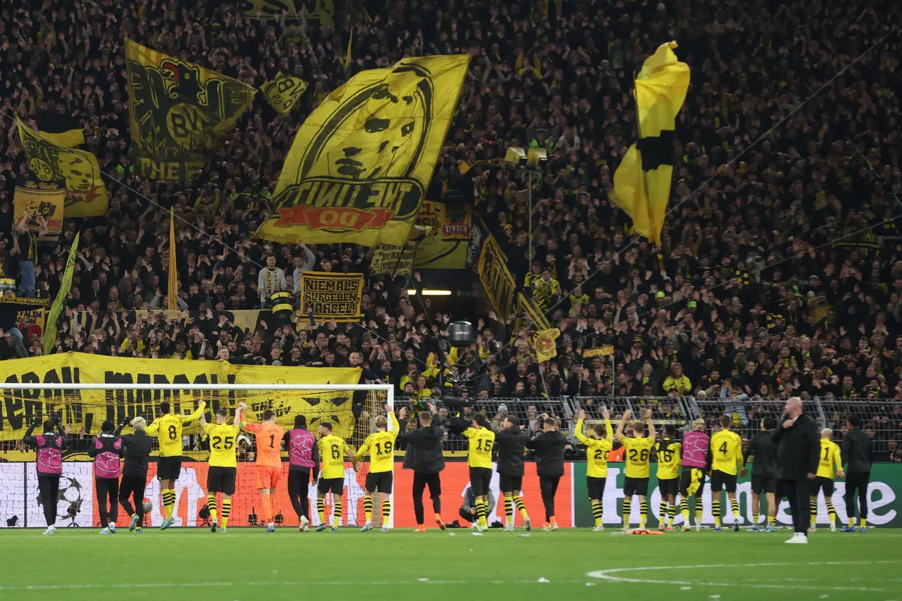 borussia d