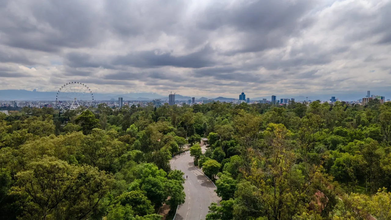 bosque de chapu foto tw CDMX