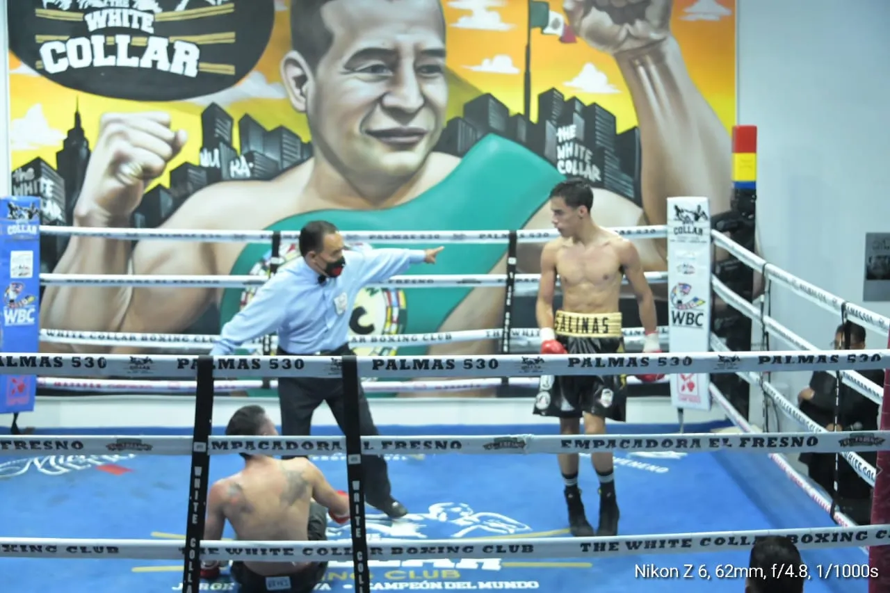 boxarena