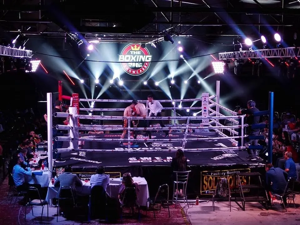 boxeo