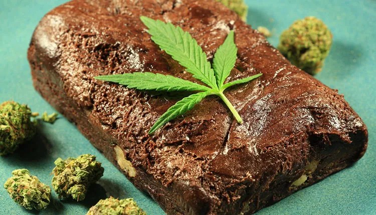 brownie