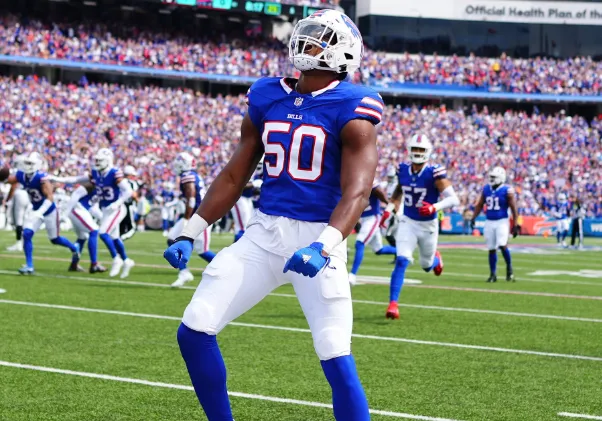 buffalo