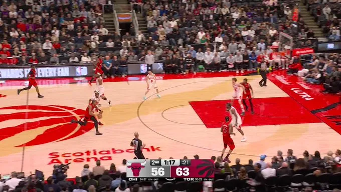 bulls