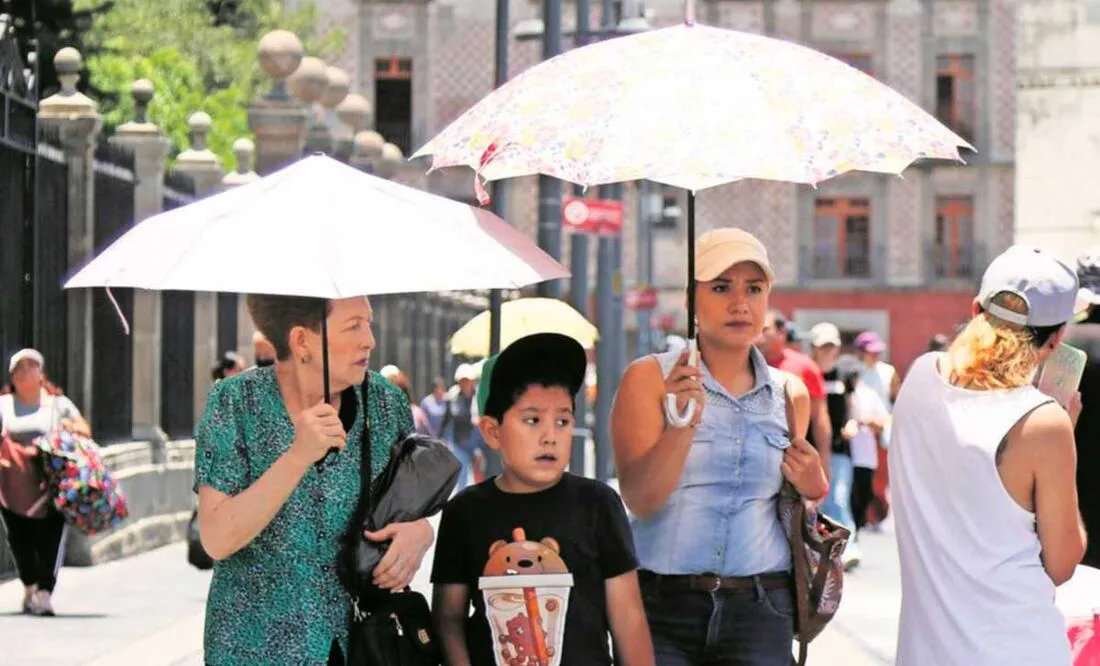 calido