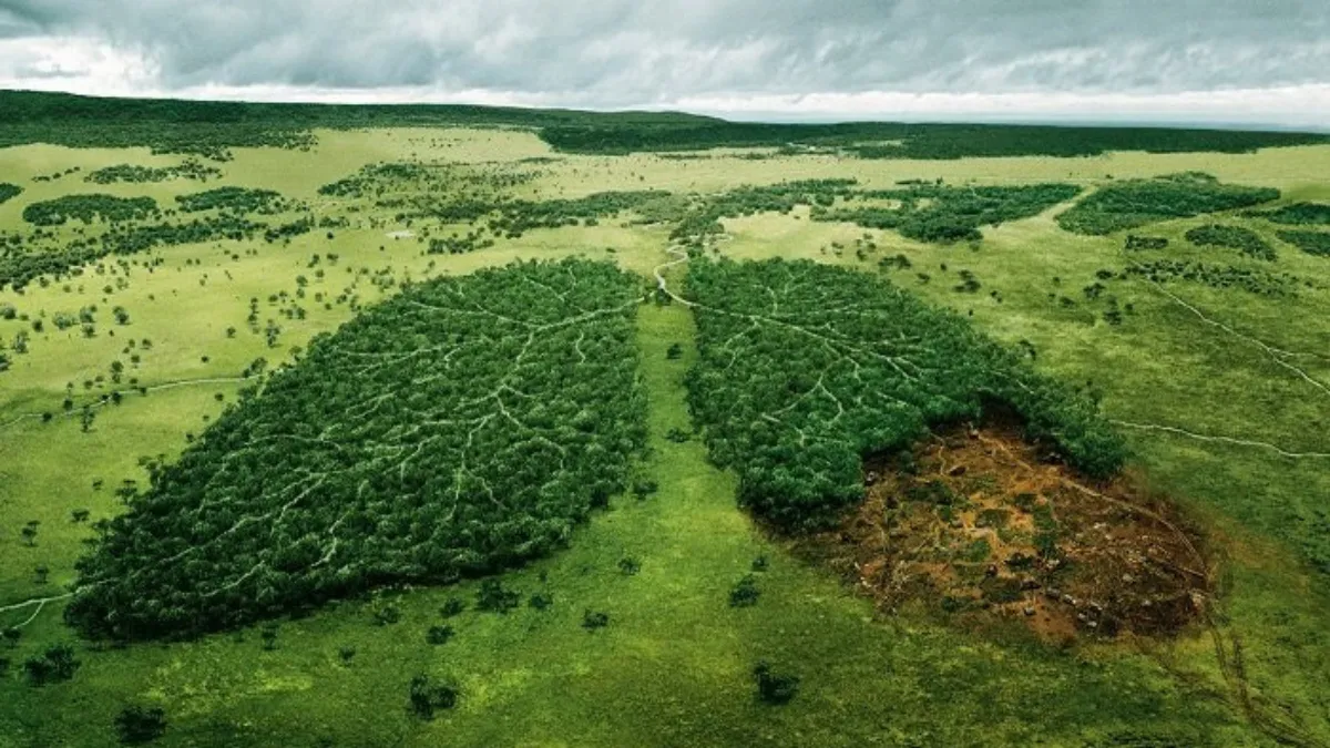 cambioclima