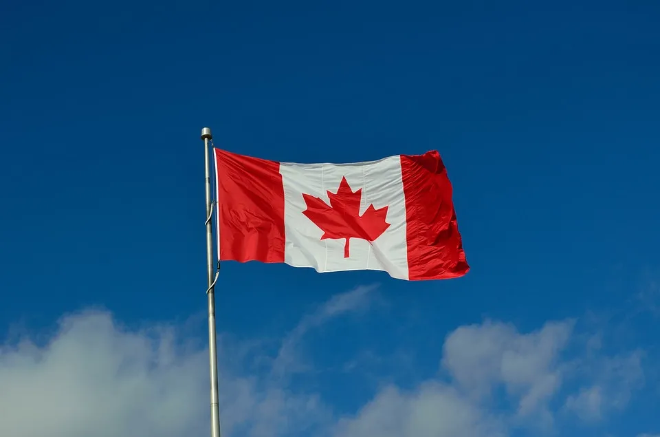 Alerta en Canadá por hantavirus: Rastrean a 36 personas tras brote en crucero