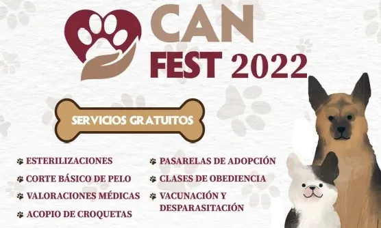canfesttt