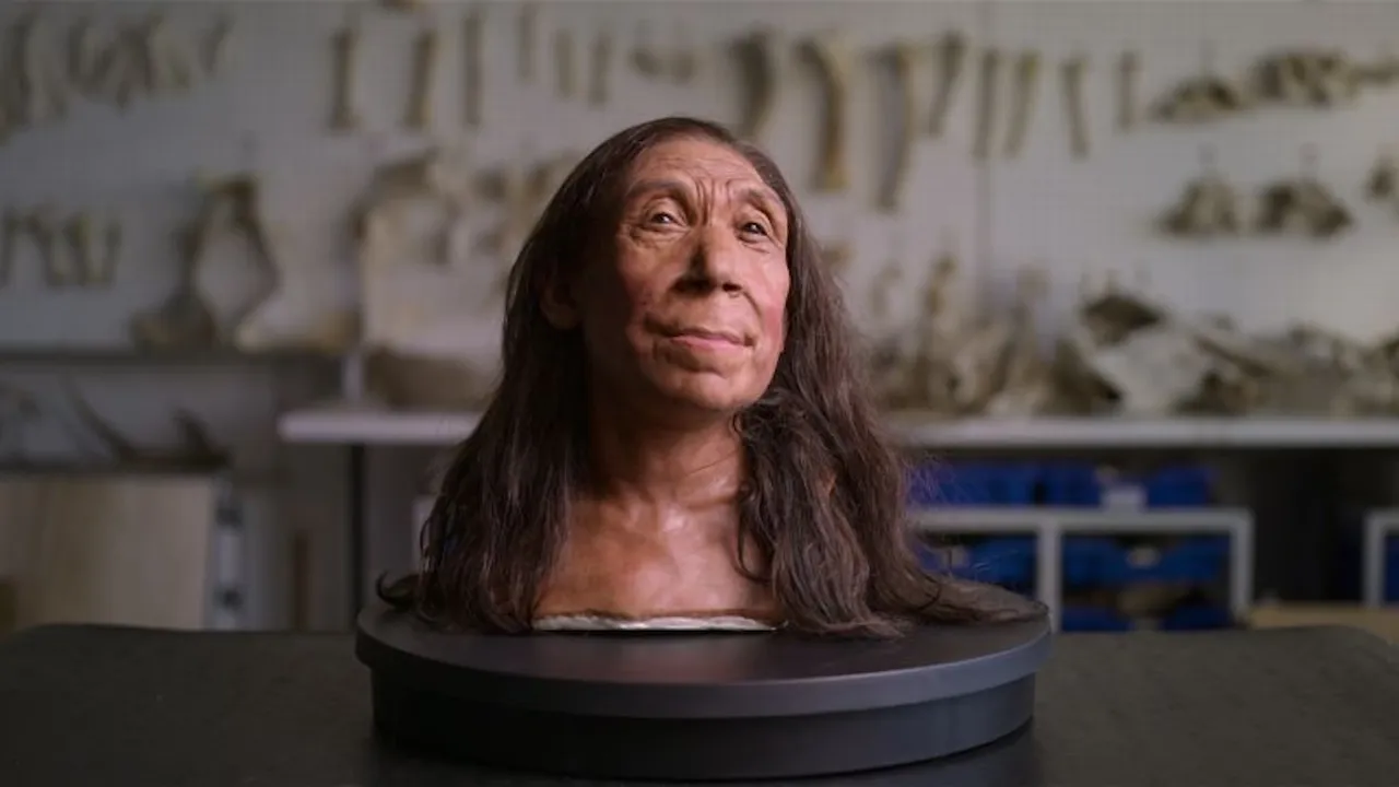 cara-Neanderthal-investigacion