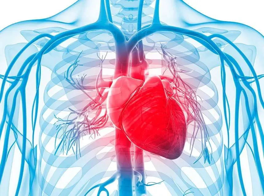 cardiovasculares