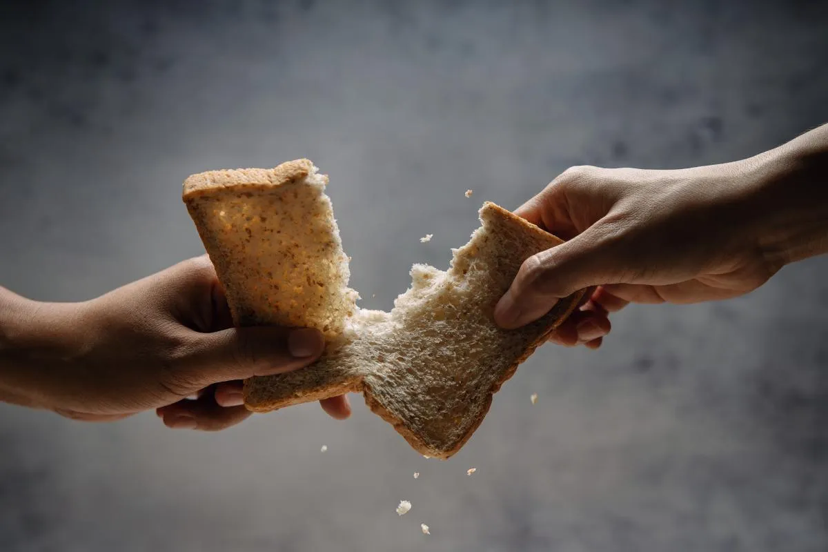 Alimentos en buen estado descartados o desperdiciados, reflejo del problema de inseguridad alimentaria en el país