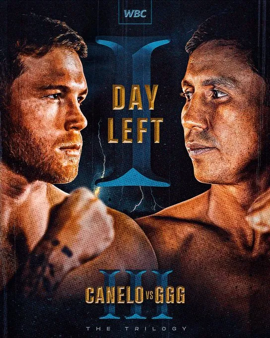 cartel canelo ggg