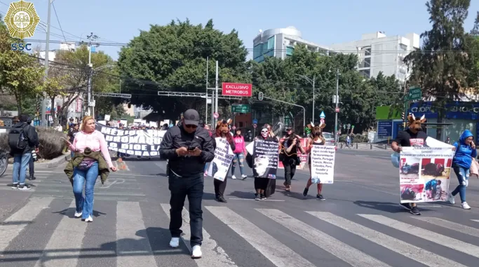 cdmx