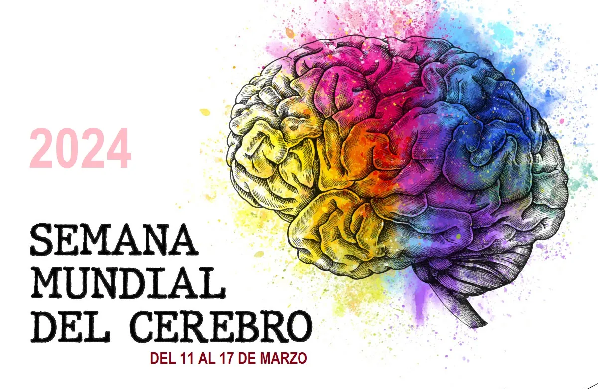 cerebro