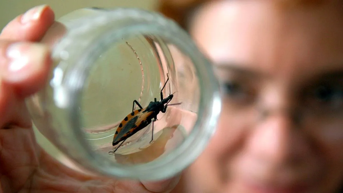 chagas