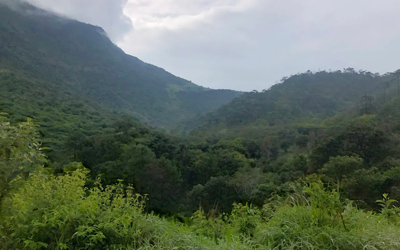 chimalapas