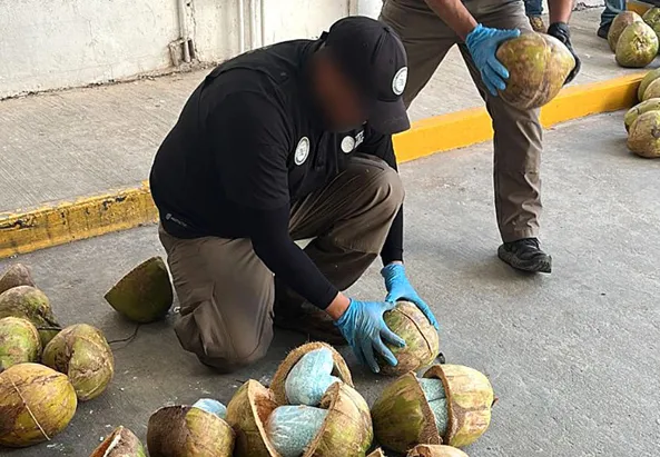 cocos