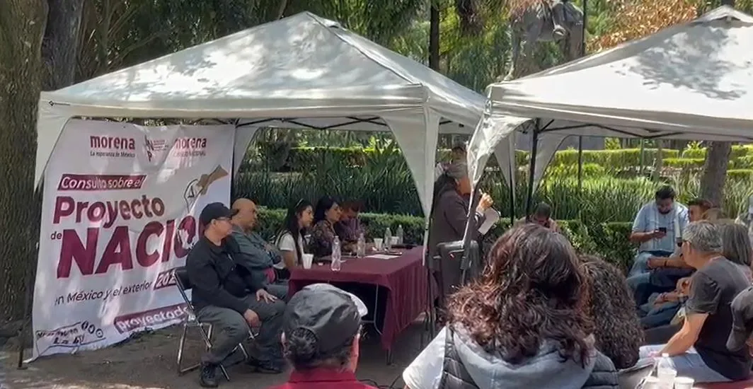 consulta