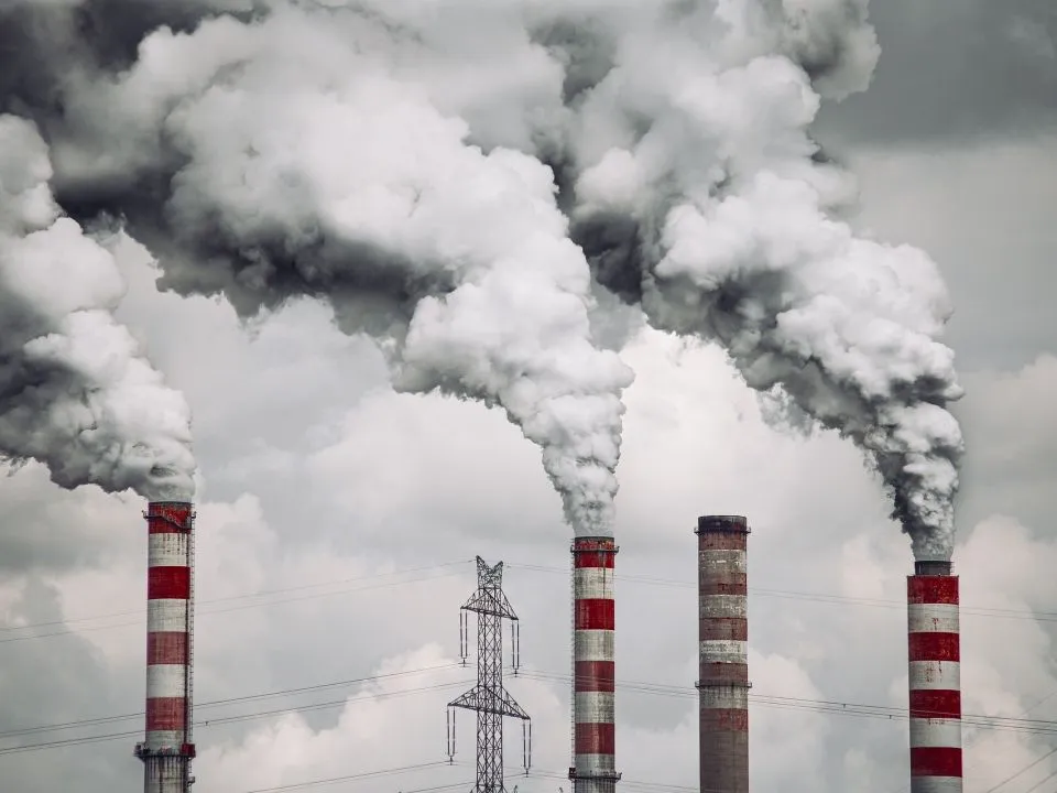contaminantes