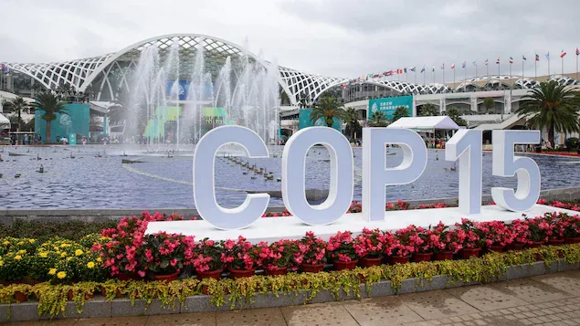cop15