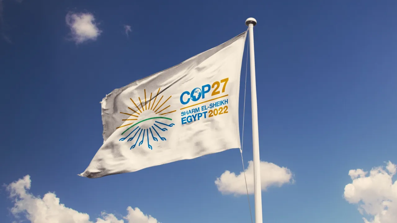 cop27