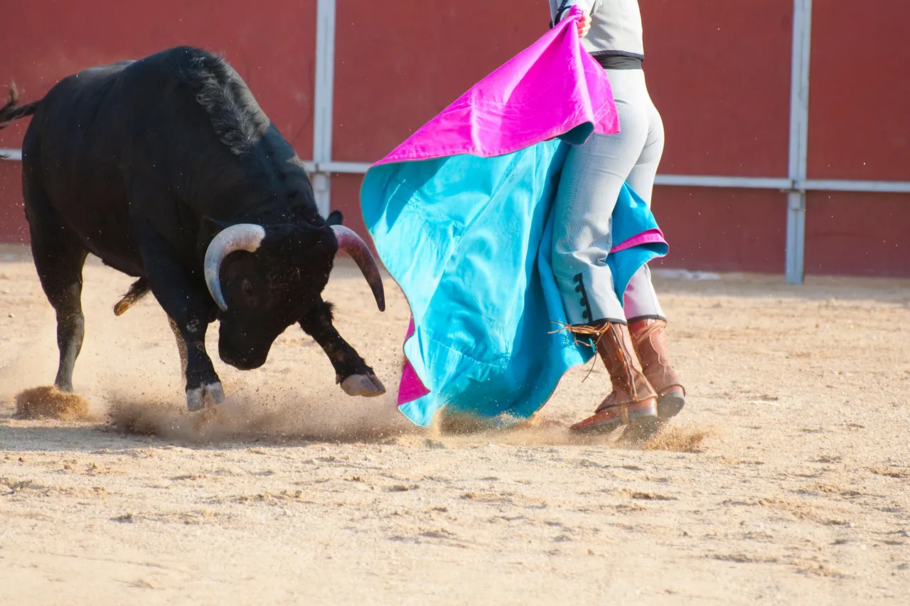corridas