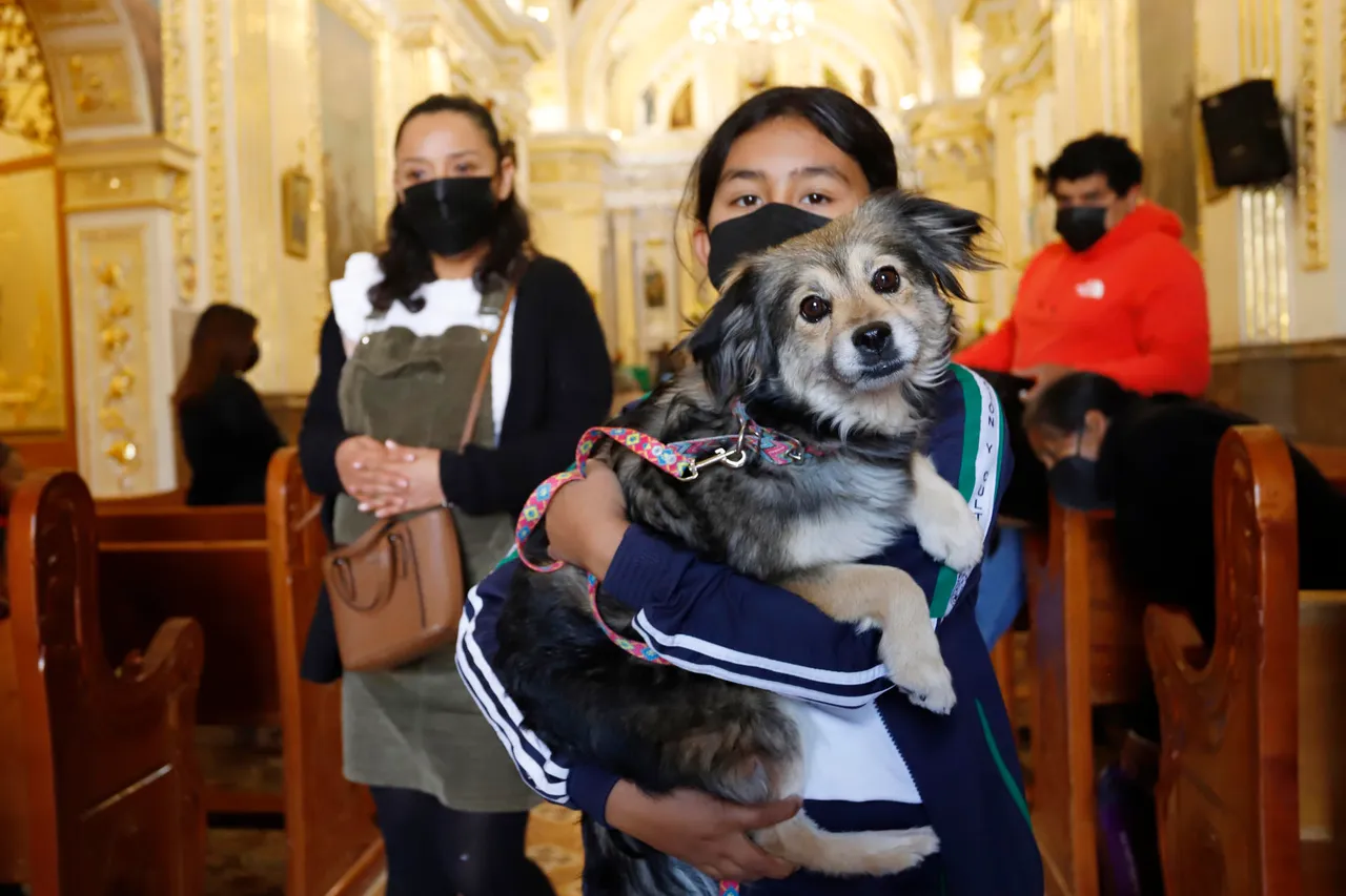 Mascotas desfilan en iglesia del centro de México dedicada a San Antonio Abad