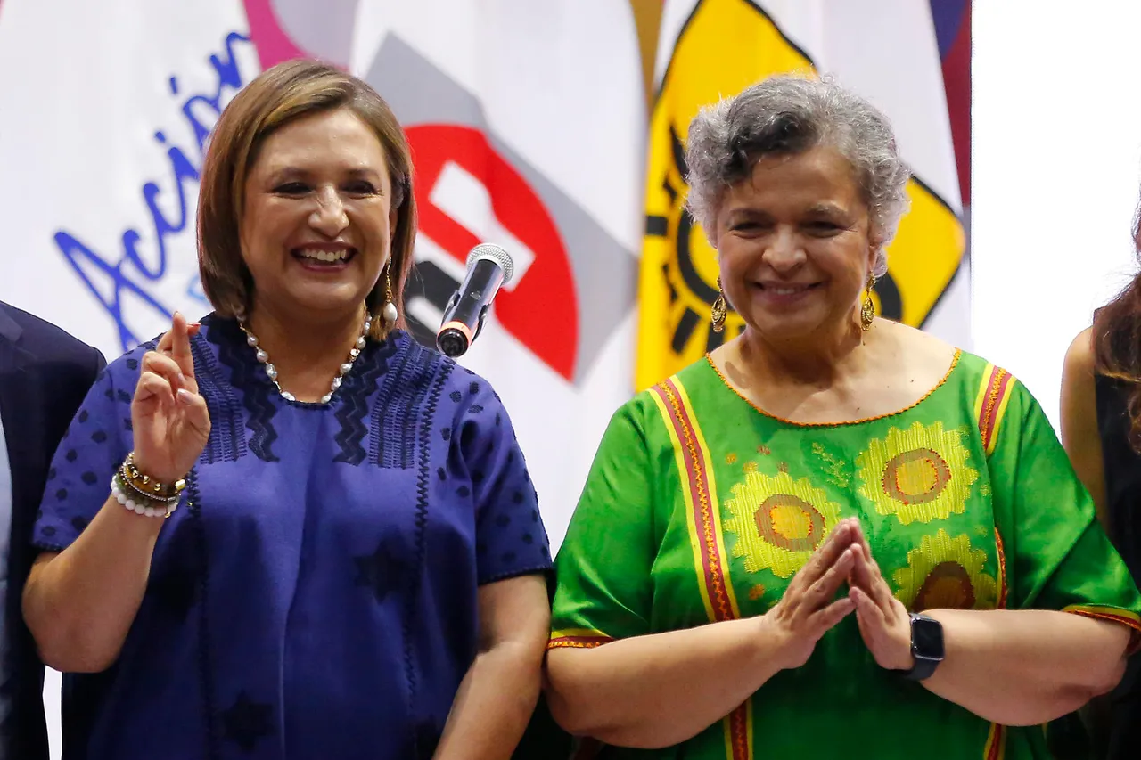 Aspirantes de oposición piden a Gobierno mexicano no avalar la violación de DD.HH. en AL