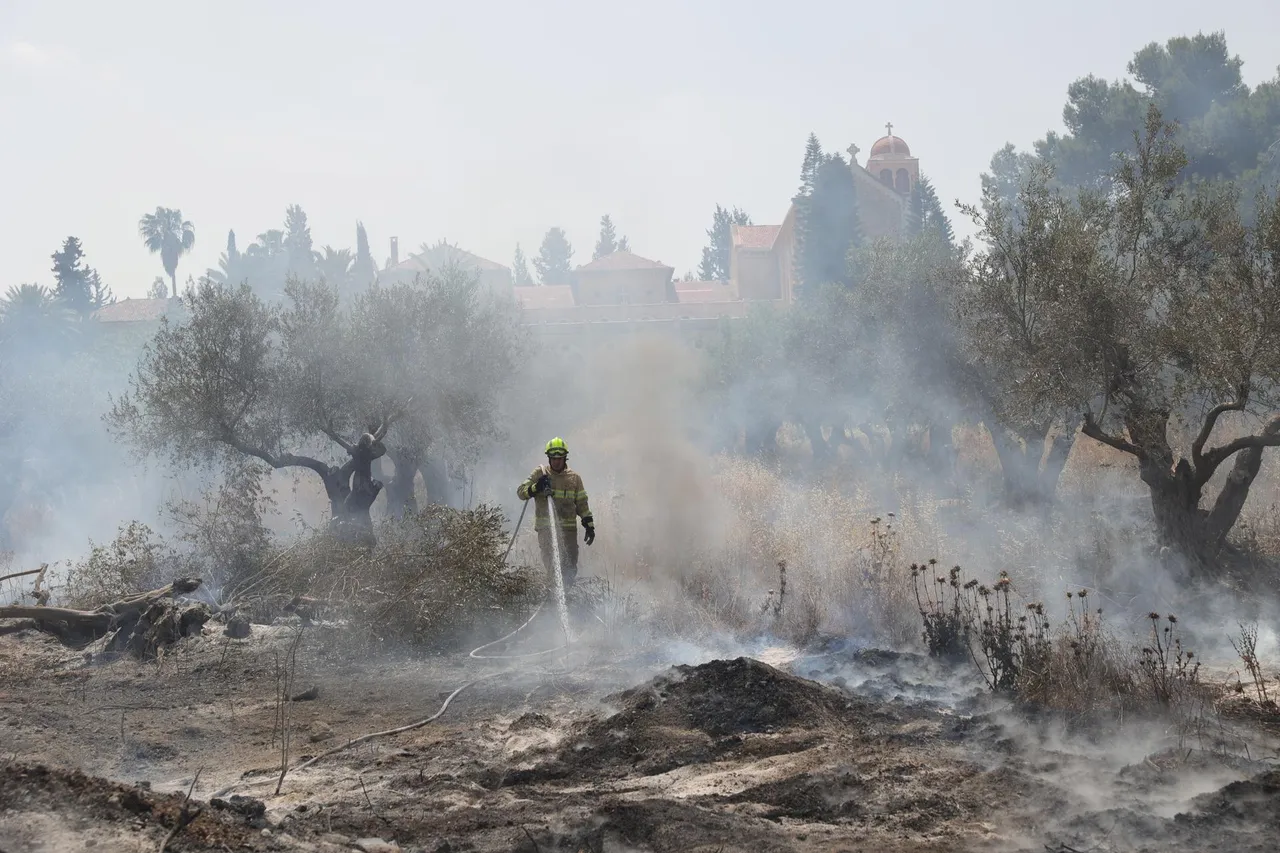 Wildfires burn in the Jerusalem hills, central Israel