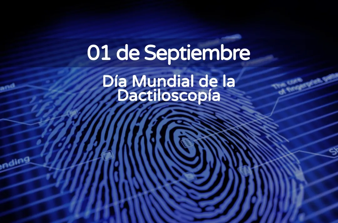 dactil