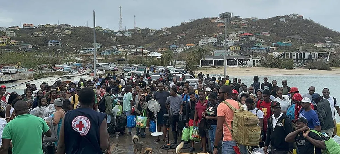 damnificados