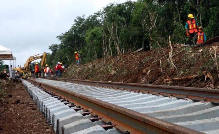 deforestacion