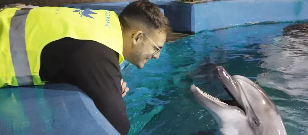 Delfines rescatados de Canadá durante su traslado al Oceanográfico