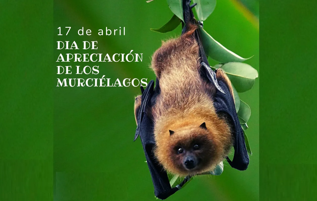 día murciélago