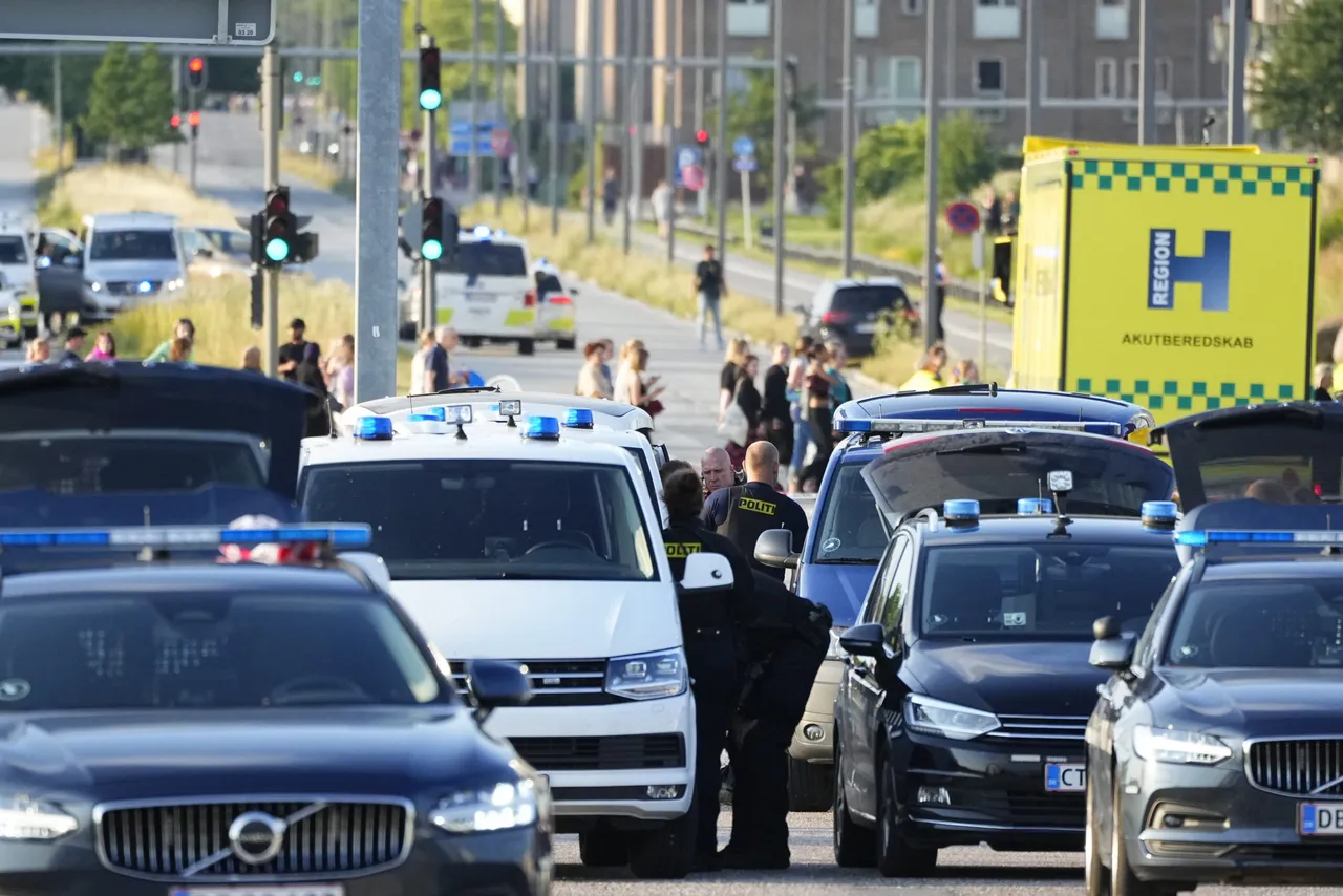 Incident in Danish Shopping Center