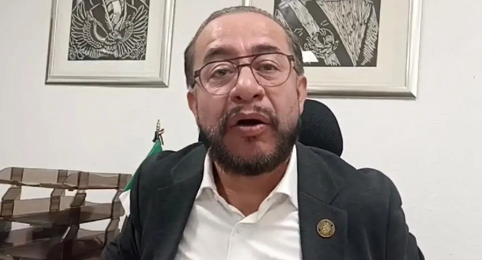 diputado