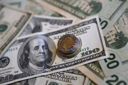 dolar
