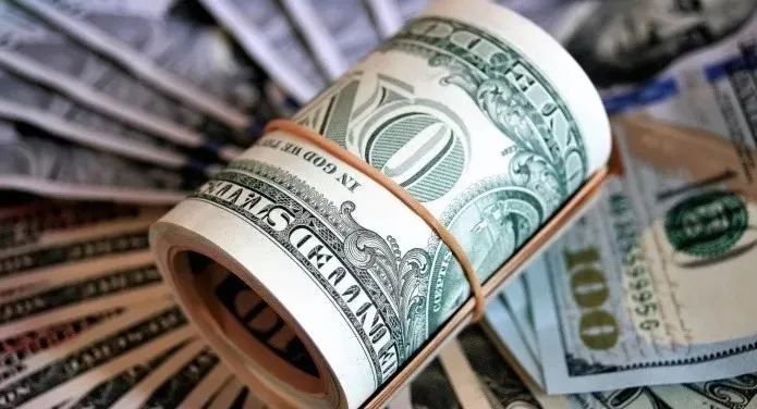 Dollar Bills