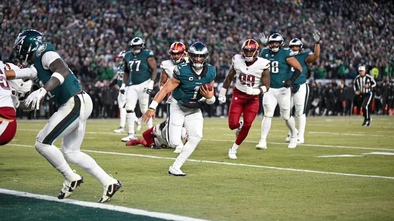 eagles