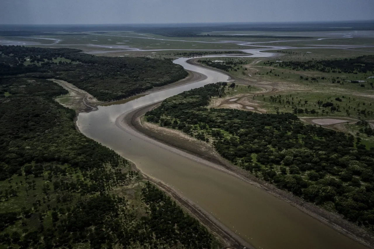 Google invierte 1,9 millones de dólares en plataforma para la recuperación de ecosistemas