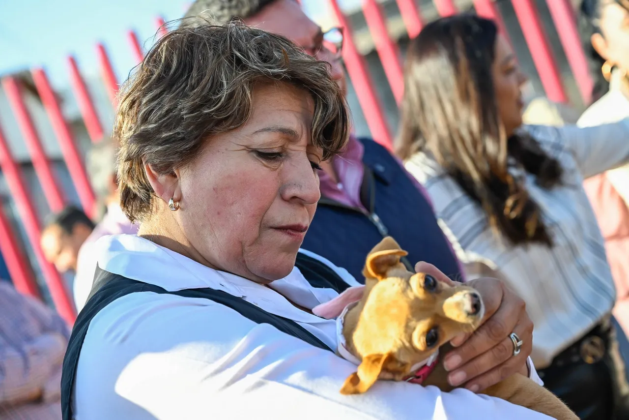 edomex1