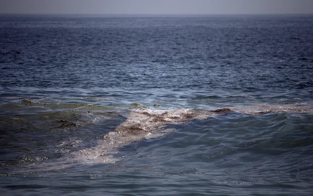 Comunidades denuncian contaminación por petróleo en playas del este de México