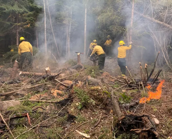 El Fenómeno de “El Niño” provocaría un incremento en el número de incendios en el territorio nacional: CONAFOR | FOTO X CONAFOR  