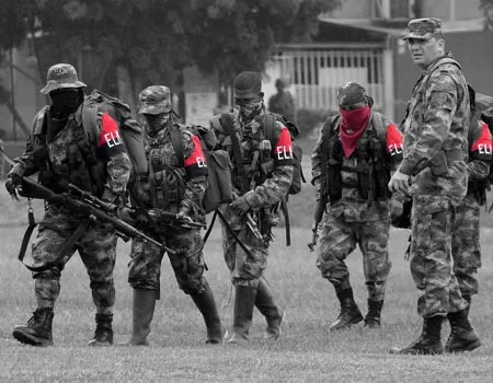 eln