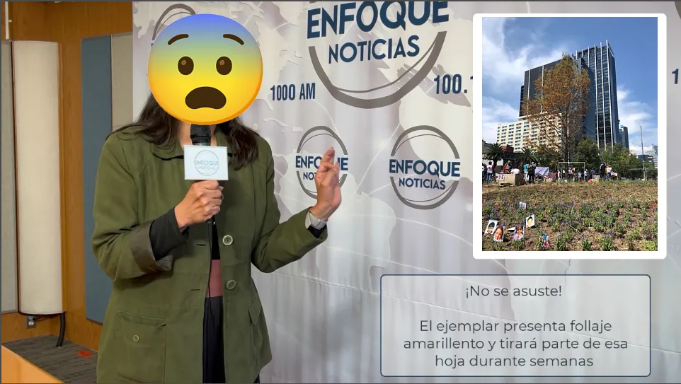 emoticon3